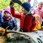 Nahrávám obrázek...100%