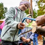 Nahrávám obrázek...100%