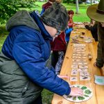 Nahrávám obrázek...100%