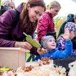 Nahrávám obrázek...100%