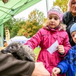 Nahrávám obrázek...100%