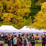 Nahrávám obrázek...100%