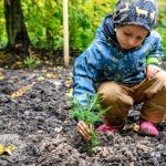 Nahrávám obrázek...100%