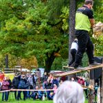 Nahrávám obrázek...100%