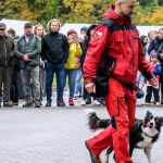 Nahrávám obrázek...100%