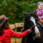 Nahrávám obrázek...100%