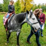 Nahrávám obrázek...100%