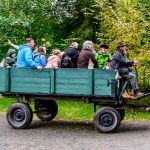 Nahrávám obrázek...100%