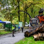 Nahrávám obrázek...100%